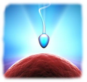 iStock_000009019699XSmallA